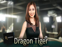 SA Gaming Dragon Tiger